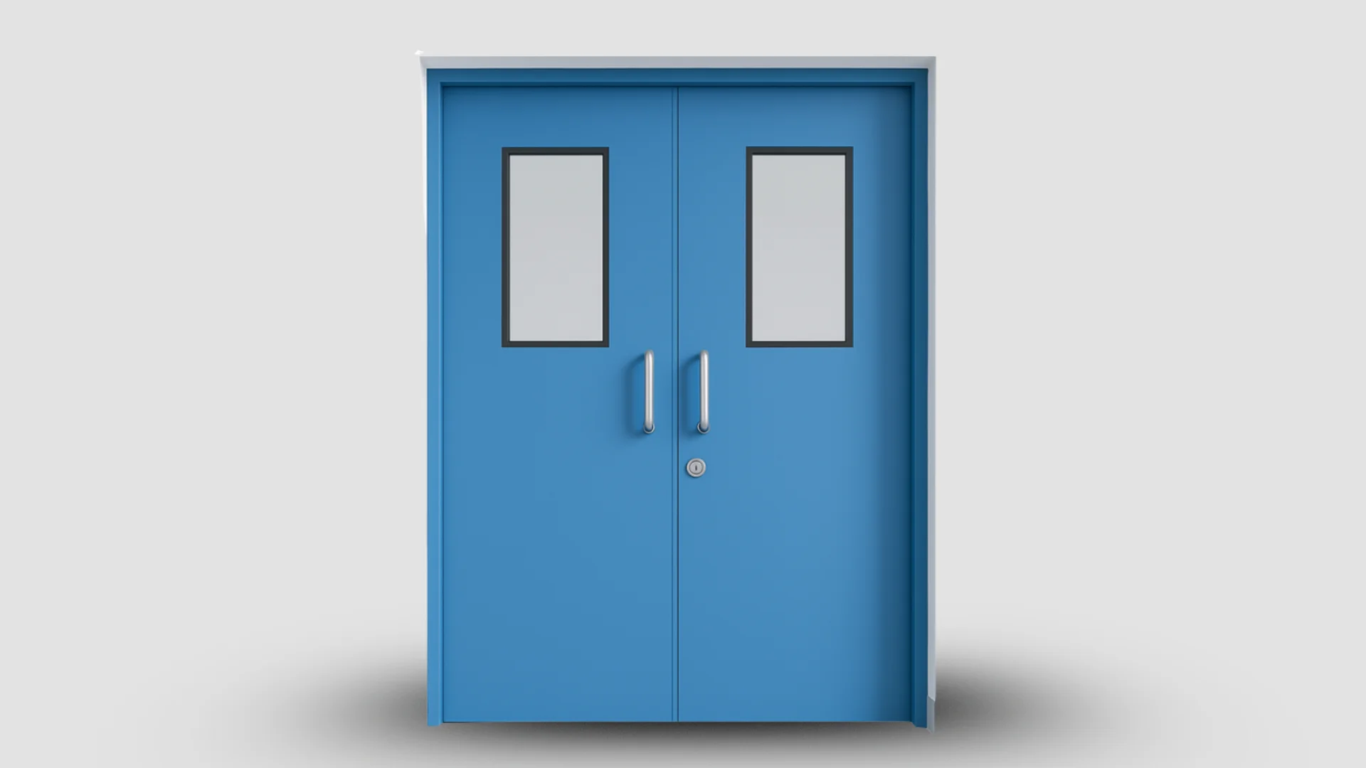 Clean Room Door